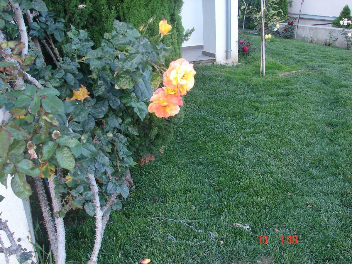Nea Iraklitsa Aphrodites House מראה חיצוני תמונה